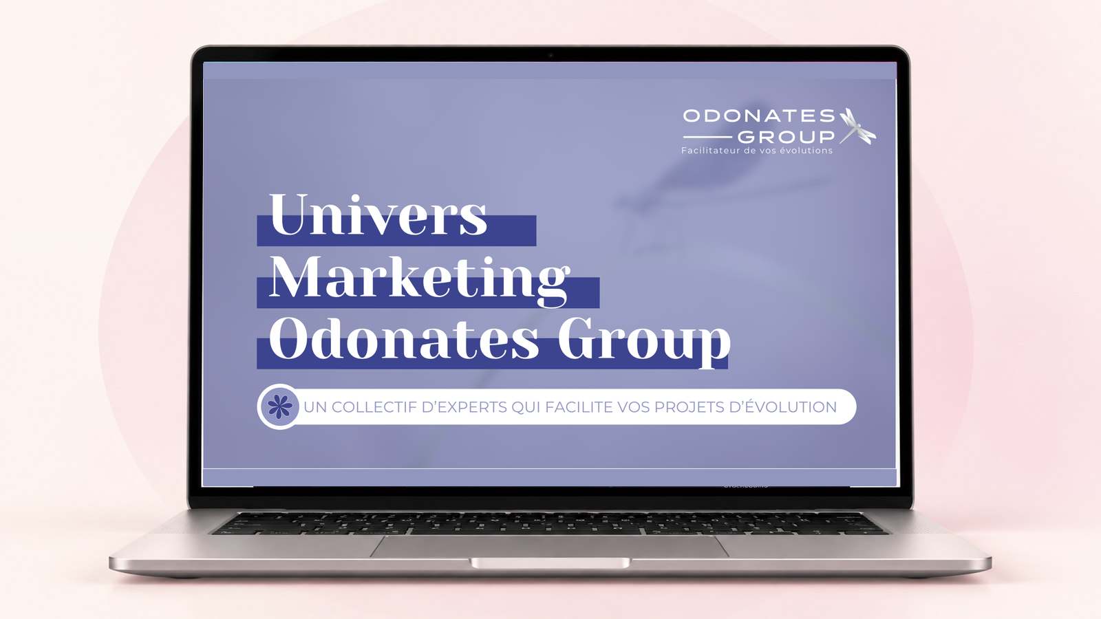 Odonates Group